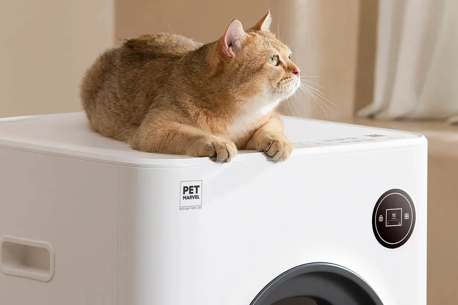 odorless cat litter box