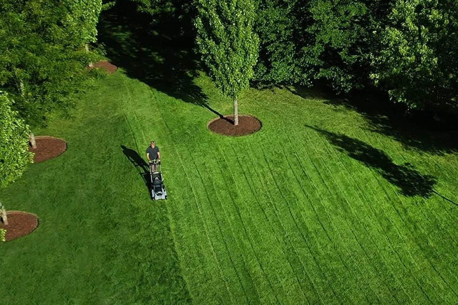 small lawnmower